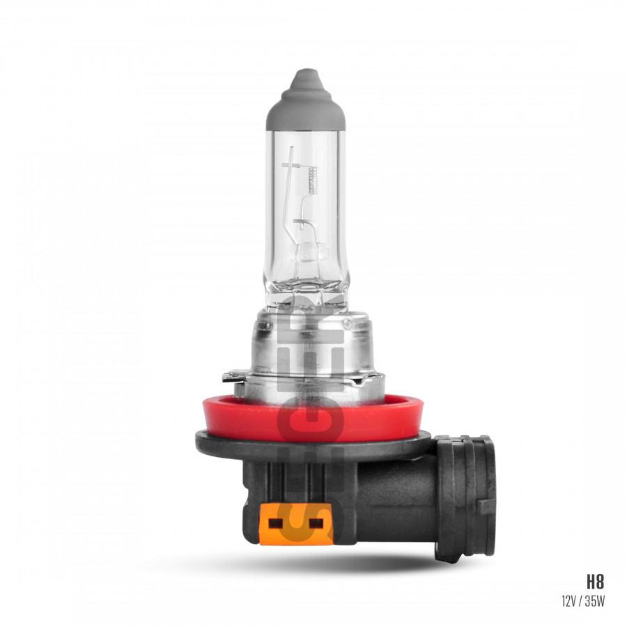 H8 12V 35W PGJ19-1 Standart Yenileme (3.500K Standart Işık)